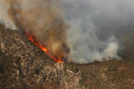 Incendios devoran bosques en San Luis Potosí