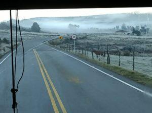 Saliendo del Pais por Primera vez