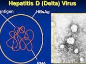 Nuevos Fármacos para Tratar Hepatitis Delta