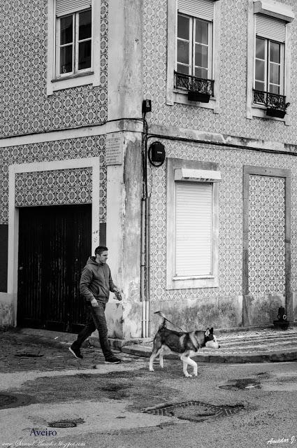 AVEIRO (PORTUGAL)