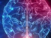 Algunos estudios sobre cerdos sugieren algunas funciones cerebrales pueden recuperarse después muerte