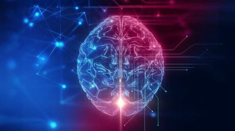 Algunos estudios sobre cerdos sugieren que algunas funciones cerebrales pueden recuperarse después de la muerte