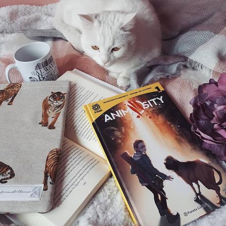 Mis recomendaciones para este Sant Jordi 2019 Mis recomendaciones para este Sant Jordi 2019