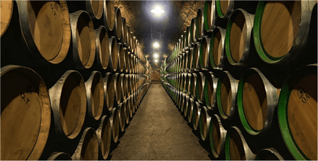 bodega-marques-riscal-interior