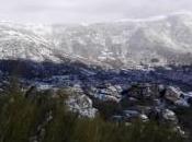 Pendón cabeza arcón