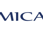 Mica pladur reformas