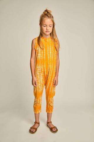 SAYPLEASE.- SAYPLEASE.-