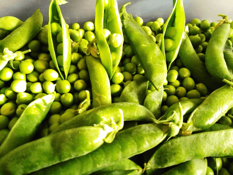 GUISANTES CON JAMÓN SERRANO Y HUEVO COCIDO GUISANTES CON JAMÓN SERRANO Y HUEVO COCIDO