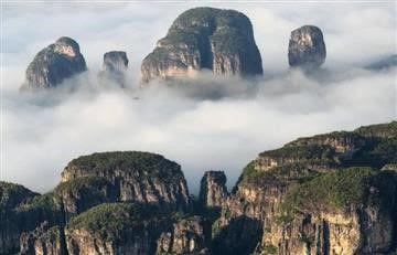 Acerca de las familias de lenguas y otros temas