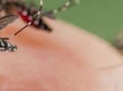 ¿Cómo eligen mosquitos víctimas?