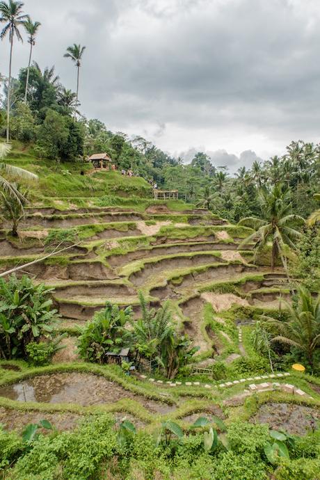 visit-bali-cheap-destinations ▷ 15 destinos tropicales asequibles para cada presupuesto