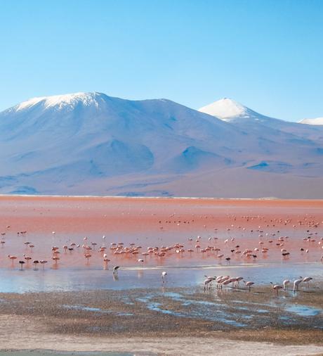 bolivia-600-2 ▷ Los mejores destinos para viajar en abril