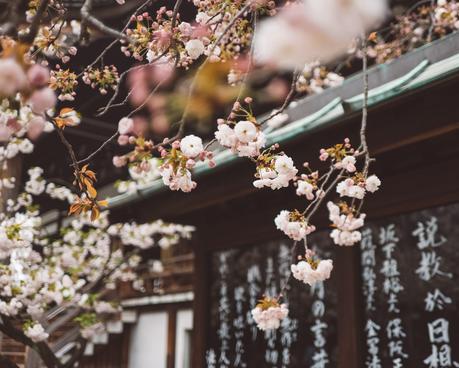 japan-2 ▷ Los mejores destinos para viajar en abril