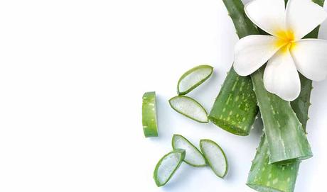 Aloe vera para la dermatitis atópica - Trucos de salud caseros