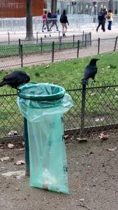 ALGO MÁS QUE LA TORRE EIFFEL