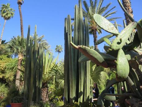 ▷ El Jardín de Majorelle, el oasis que dio vida a un color IMG_2880-min-e1554583421572 ▷ El Jardín de Majorelle, el oasis que dio vida a un color