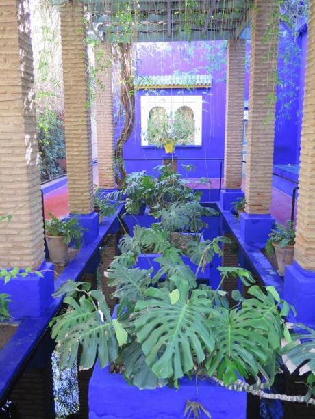 ▷ El Jardín de Majorelle, el oasis que dio vida a un color IMG_2887-min-e1554583569319 ▷ El Jardín de Majorelle, el oasis que dio vida a un color