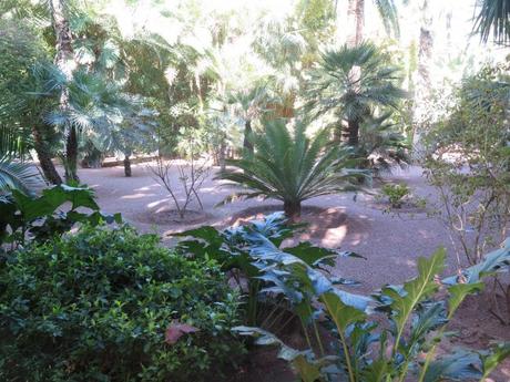 ▷ El Jardín de Majorelle, el oasis que dio vida a un color IMG_2865-min-e1554583202204 ▷ El Jardín de Majorelle, el oasis que dio vida a un color