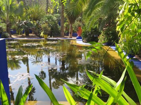 ▷ El Jardín de Majorelle, el oasis que dio vida a un color IMG_2896-min-e1554583856800 ▷ El Jardín de Majorelle, el oasis que dio vida a un color