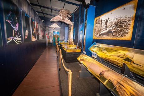 ▷ Las 10 mejores cosas que ver y hacer en Luarca y alrededores ✅ 162131b4-65a7-4f24-9b41-d39c4d82593e?t=1555945711256 ▷ Las 10 mejores cosas que ver y hacer en Luarca y alrededores ✅