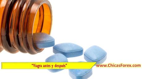 erección después de viagra en línea