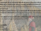 Jornadas Técnicas Conservación Biodiversidad Subterránea