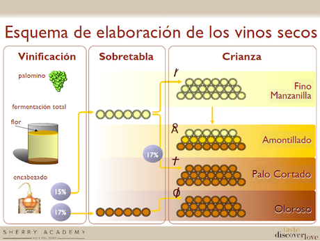 CONSEJO REGULADOR DE LAS DD.O.: Sesión de Iniciación a los Vinos de Jerez: Bodegas Emilio Hidalgo, S.A.: Sábado 6 de abril de 2019