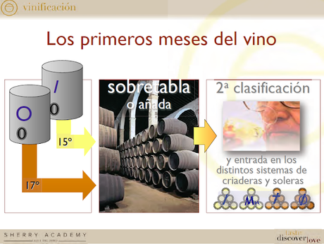 CONSEJO REGULADOR DE LAS DD.O.: Sesión de Iniciación a los Vinos de Jerez: Bodegas Emilio Hidalgo, S.A.: Sábado 6 de abril de 2019