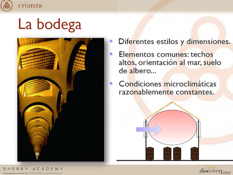 CONSEJO REGULADOR DE LAS DD.O.: Sesión de Iniciación a los Vinos de Jerez: Bodegas Emilio Hidalgo, S.A.: Sábado 6 de abril de 2019