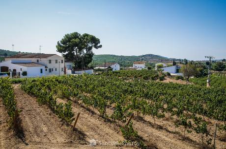 Y así es Viladellops