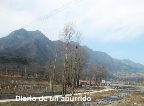 La Buena Tierra, de Pearl S. Buck