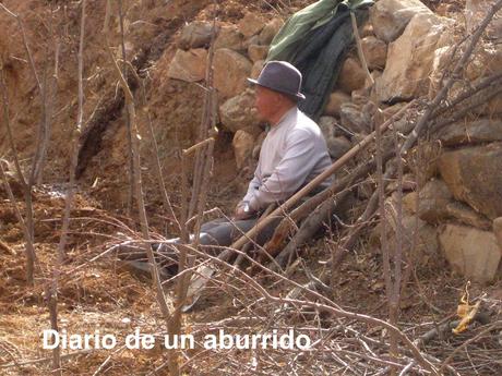 La Buena Tierra, de Pearl S. Buck