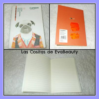 Compras TEDI (papelería, manualidades y Scrap) Con chollos!