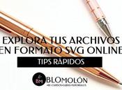 Explora Archivos Formato Línea