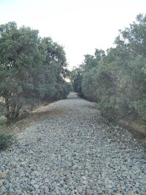 Ramal Ferroviario de Villacañas a Santa Cruz de la Zarza: La Vía de Negrín