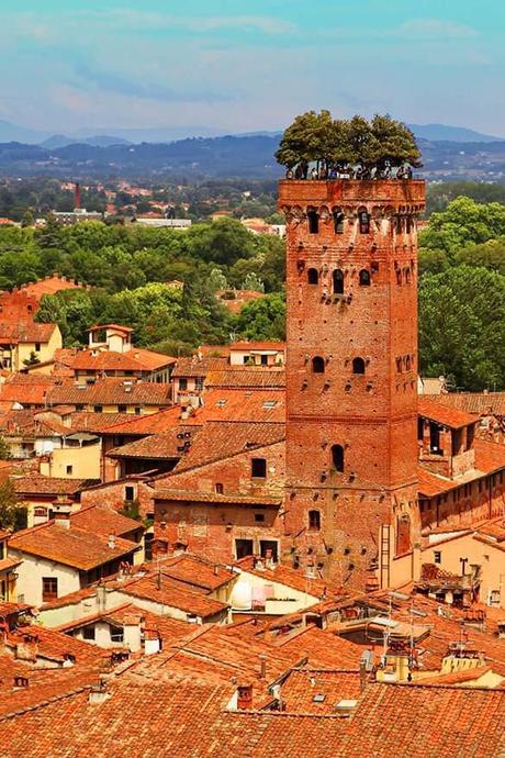 Guinigi-Tower-as-seen-from-Torre-Delle-Ore-in-Lucca-Tuscany-Italy.jpg.optimal ▷ Itinerario de la Toscana - Ver los mejores lugares en una semana