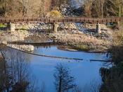 pont fusta