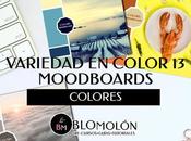 Variedad Color MoodBoard
