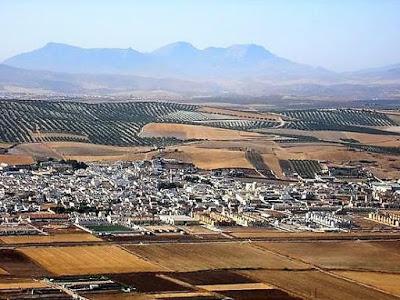 CREMA DE ESPÁRRAGOS VERDES DE LA COMARCA DE ANTEQUERA