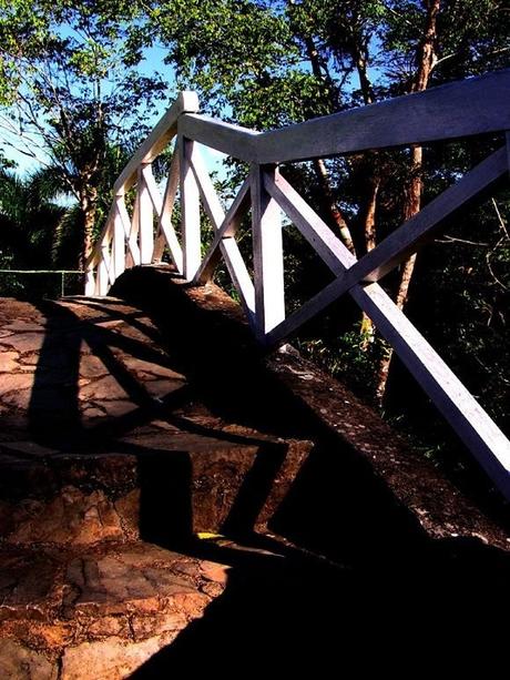 Maravillas naturales de Cuba: Orquideario de Soroa