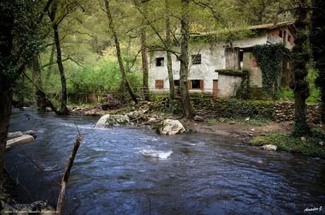 FRAGAS DE SAO SIMAO. FIGUEIRO DOS VINHOS (PORTUGAL)