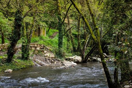 FRAGAS DE SAO SIMAO. FIGUEIRO DOS VINHOS (PORTUGAL)