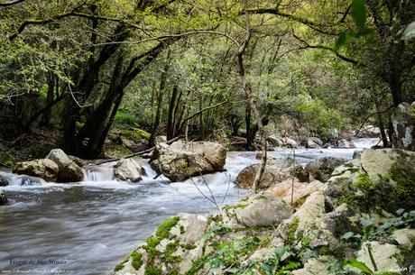 FRAGAS DE SAO SIMAO. FIGUEIRO DOS VINHOS (PORTUGAL)