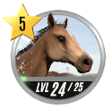 Rival Stars Horse Racing Guía: trucos y consejos