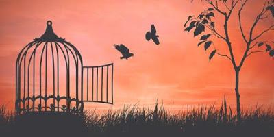 SEREMOS LIBRES SEREMOS LIBRES