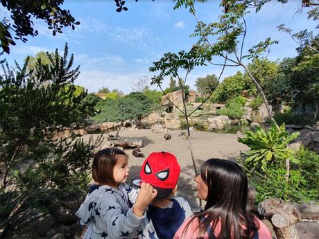 Visitamos Bioparc Valencia con los niños
