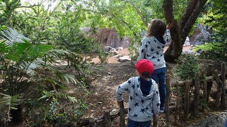 Visitamos Bioparc Valencia con los niños