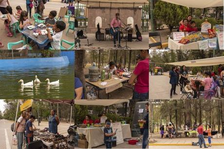 Realizan la Primera Jornada Cultural y Ecológica Salvemos el Parque de Morales