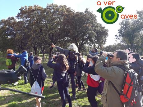 Observar y escuchar. Nada más y nada menos Observar y escuchar. Nada más y nada menos