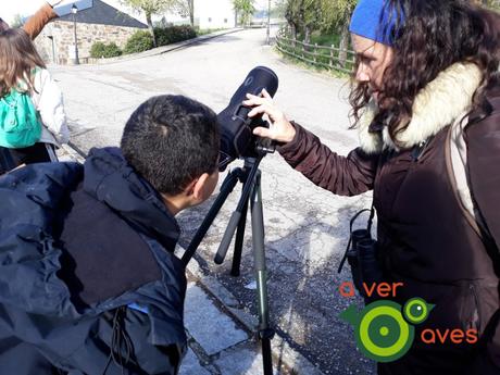 Observar y escuchar. Nada más y nada menos Observar y escuchar. Nada más y nada menos